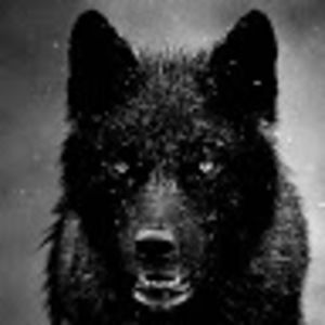 Meet your Posher, Jorge